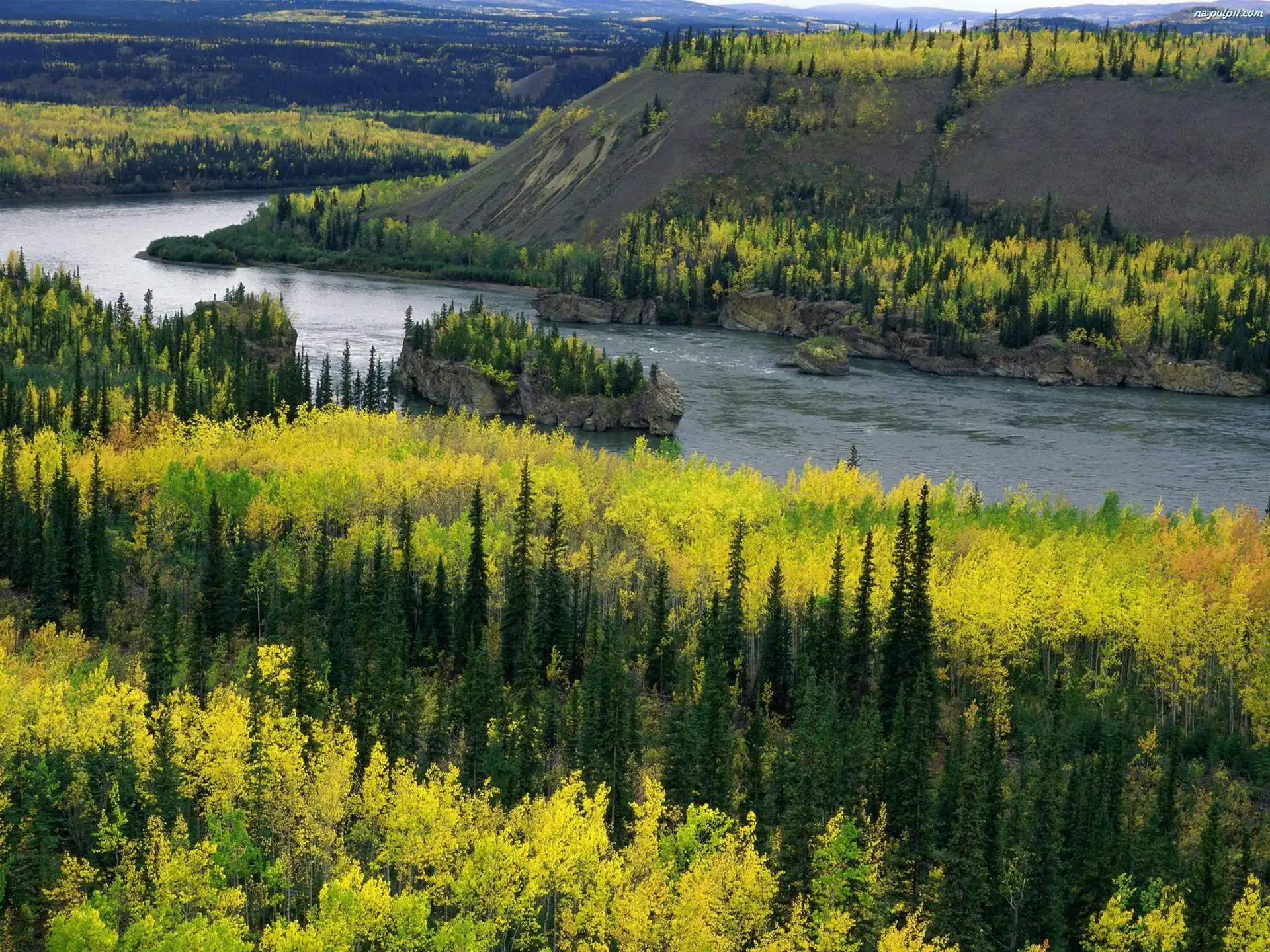 Kanada, Lasy, Rzeka, Yukon